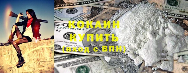 хмурый Абаза