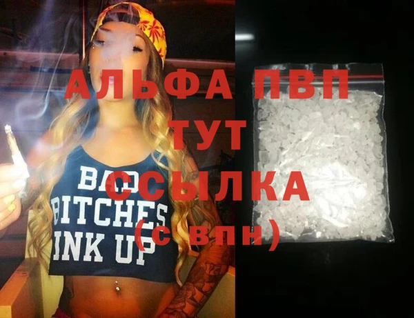 хмурый Абаза