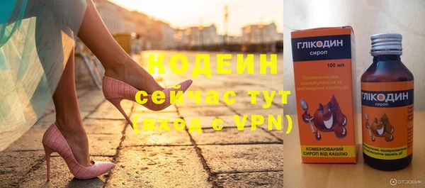 хмурый Абаза