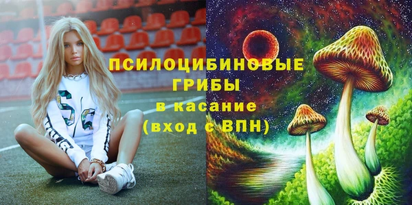 прущая мука Сатка